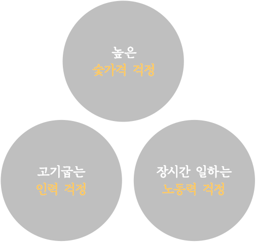 노들